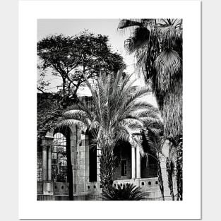 Arches and Palm Trees in Jerusalem Posters and Art